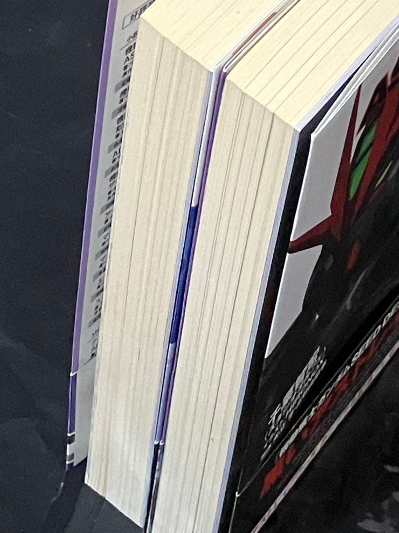 機動戦士ガンダムSEED DESTINY ASTRAY B 上下セット 初版 帯