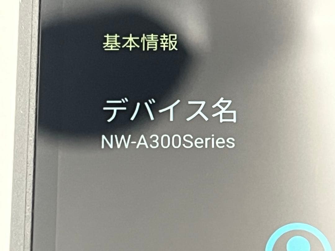 SONYデジタルメディアプレイヤー NW-A306 ウォークマン