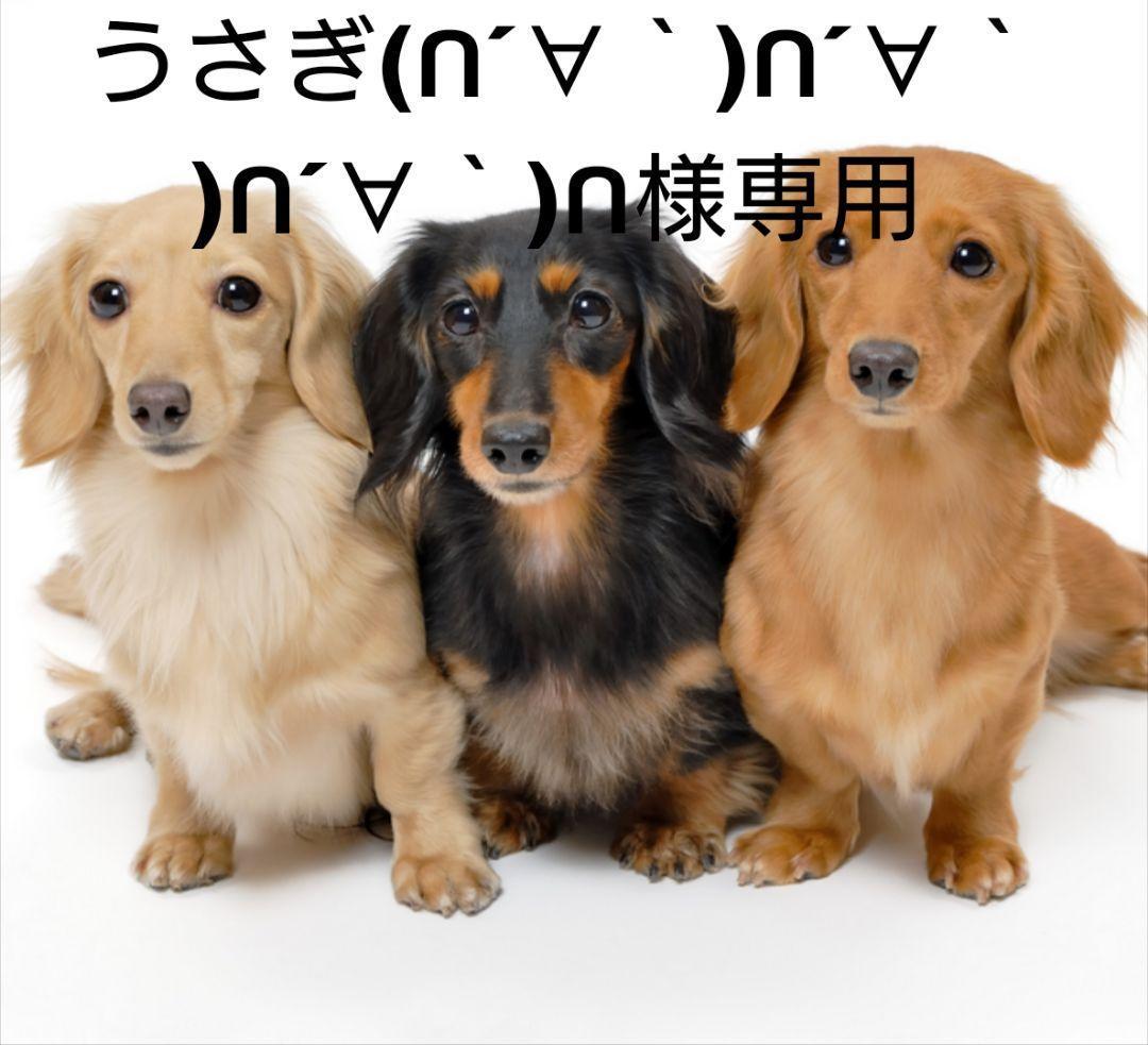 うさぎ(∩´∀｀)∩´∀｀)∩´∀｀)∩ スリーブ 105枚