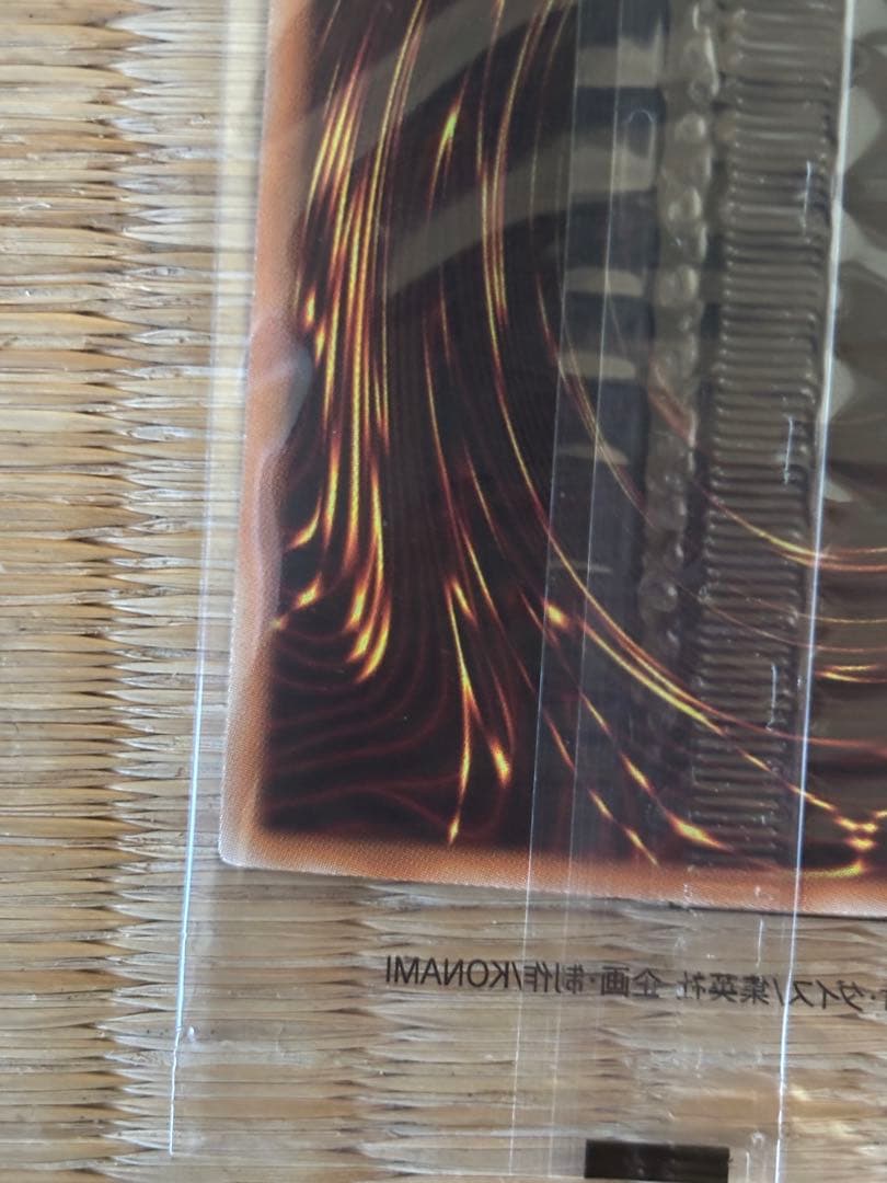 24時間以内発送遊戯王　ブラックマジシャンガール　ホロ　未開封