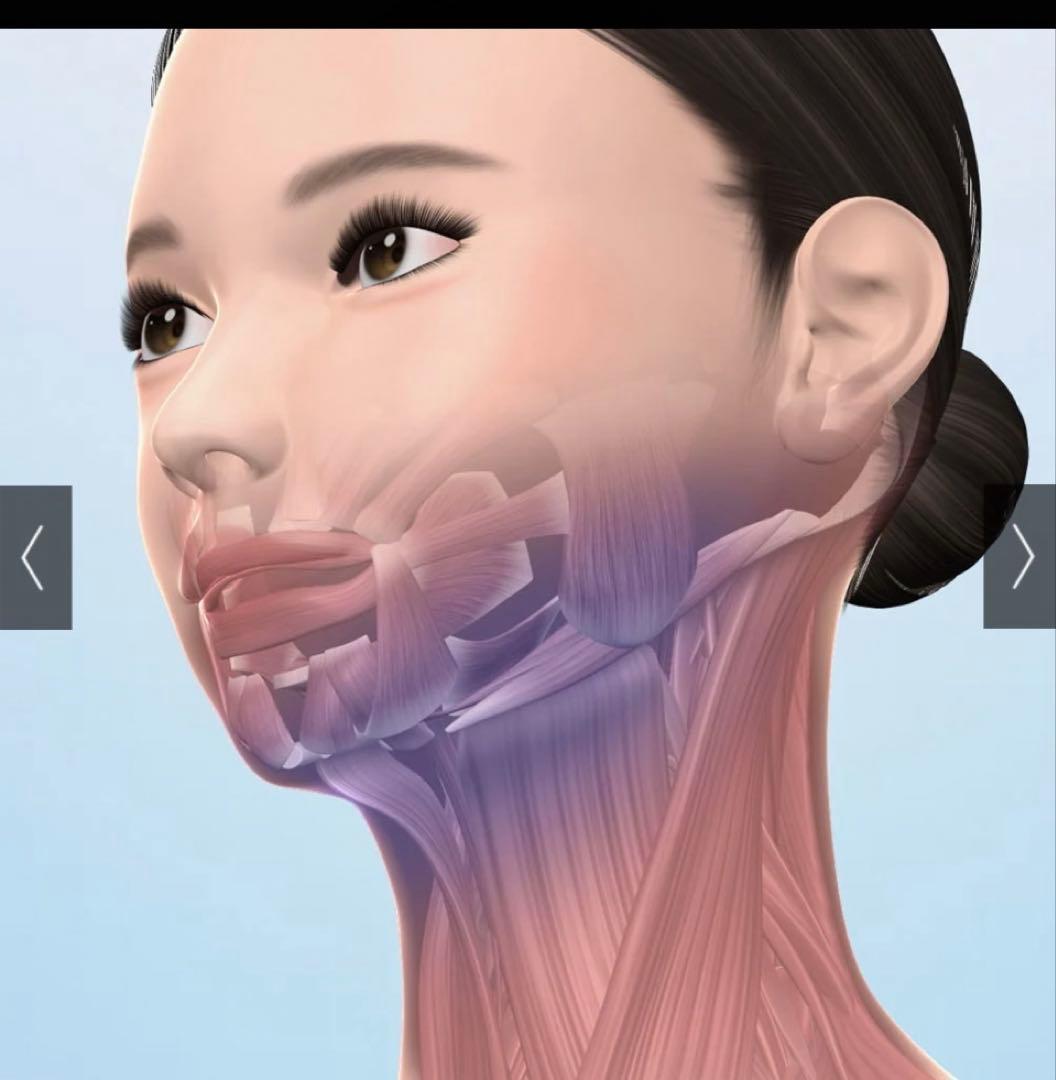 スタイリーフェイス美顔器