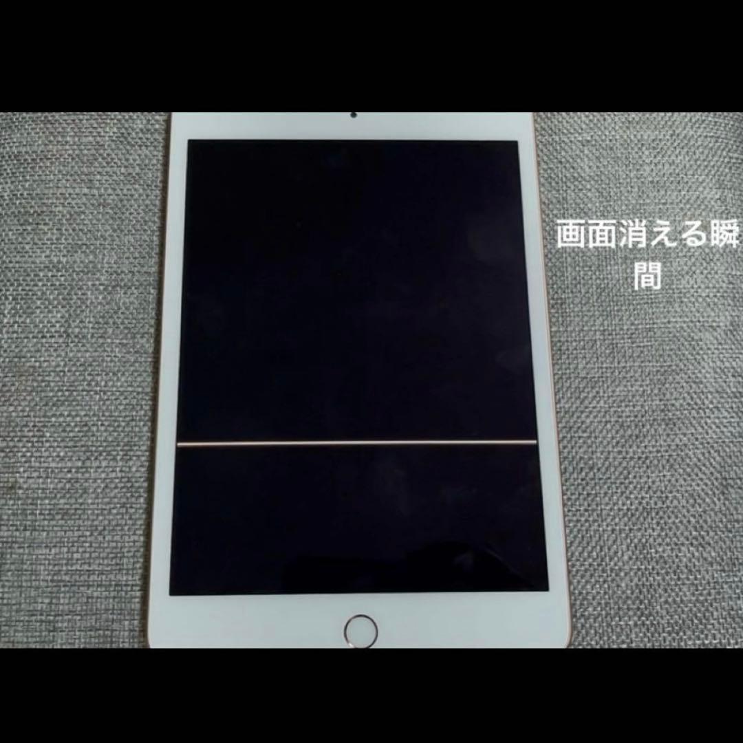 【ジャンク】Apple iPad mini (第5世代) 256GB