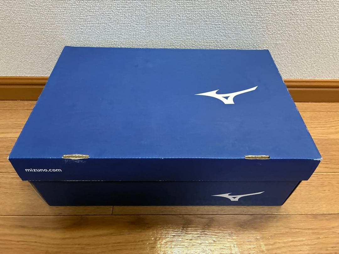 【新品未使用•箱付】MizunoオールマイティSD1 3H 27.0cm 安全靴