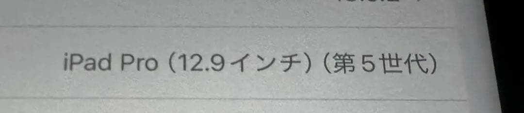 iPad Pro 12.9インチ 第5世代 512GB Wi-Fi