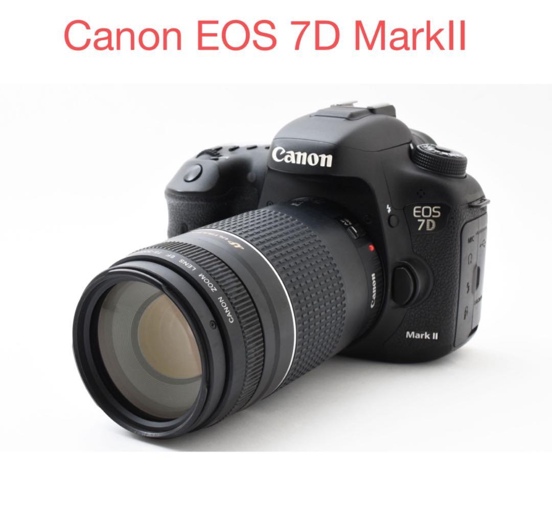 フルサイズ/Canon EOS 7D MarkⅡ 望遠レンズセット