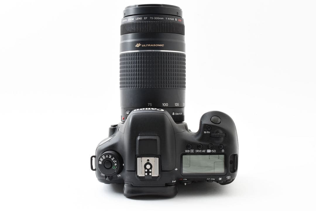 フルサイズ/Canon EOS 7D MarkⅡ 望遠レンズセット