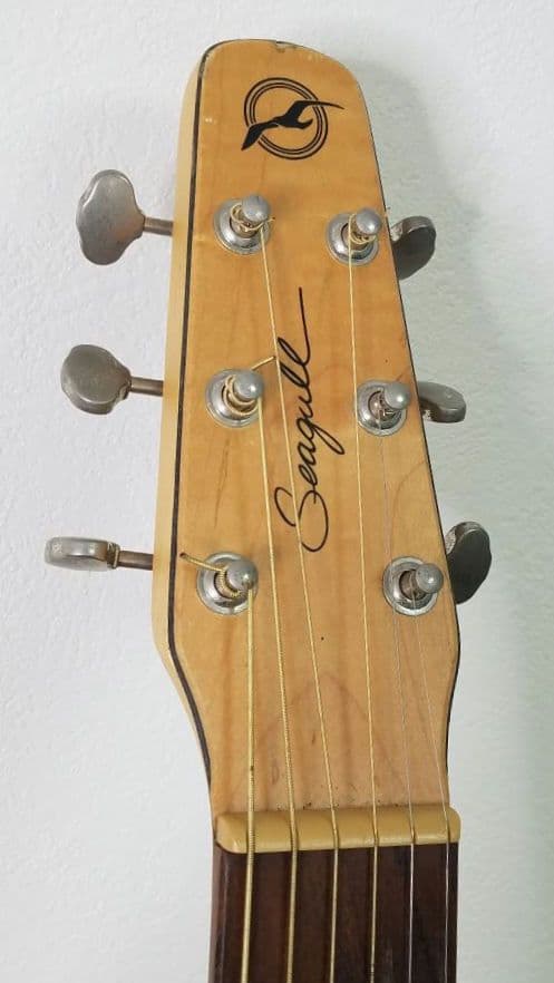 Seagull エレアコ ギター ハードケース入り