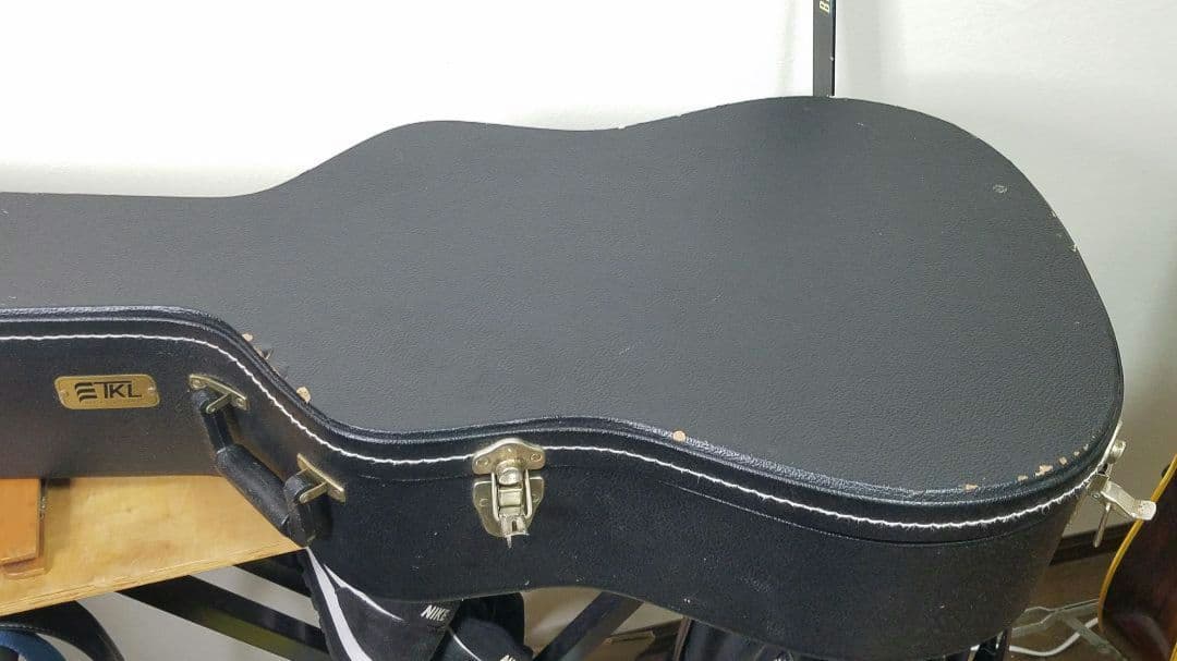 Seagull エレアコ ギター ハードケース入り