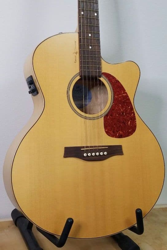 Seagull エレアコ ギター ハードケース入り