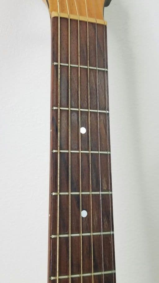 Seagull エレアコ ギター ハードケース入り