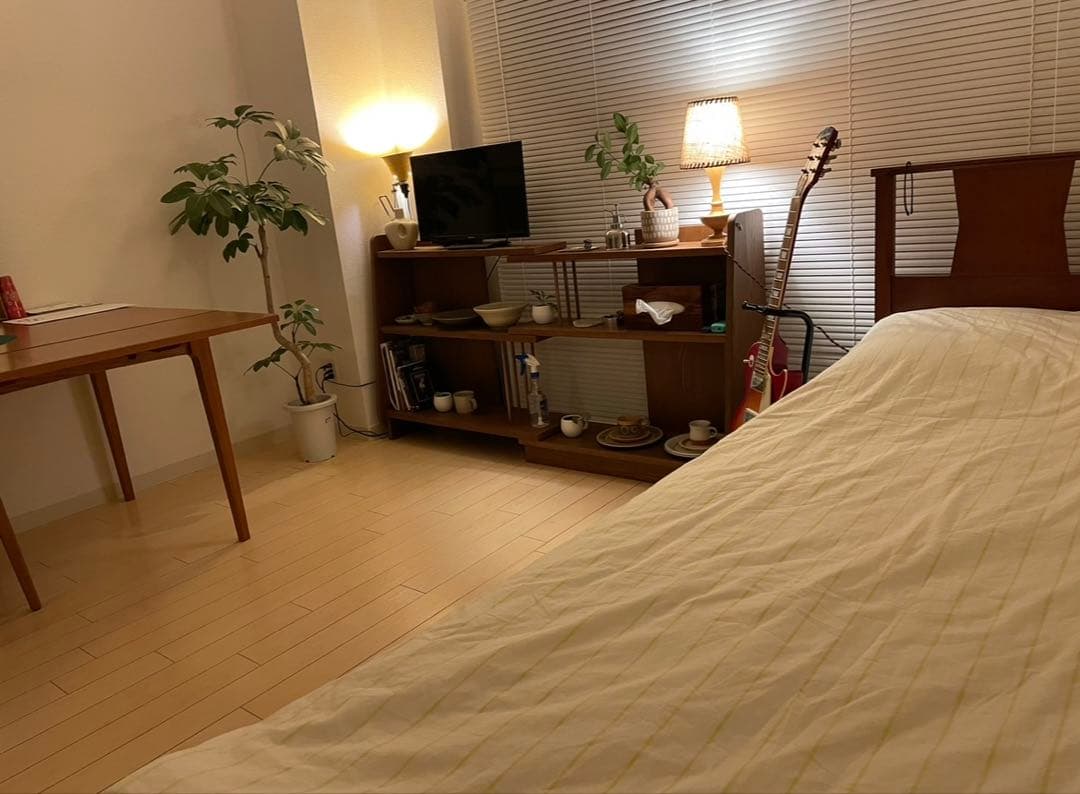 【半年使用・美品】ACMEFurnitureGRANDVIEW ベッドシングル