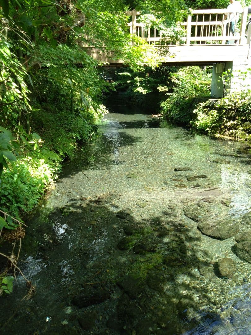 R7年 自然栽培米 朝日米10kg玄米