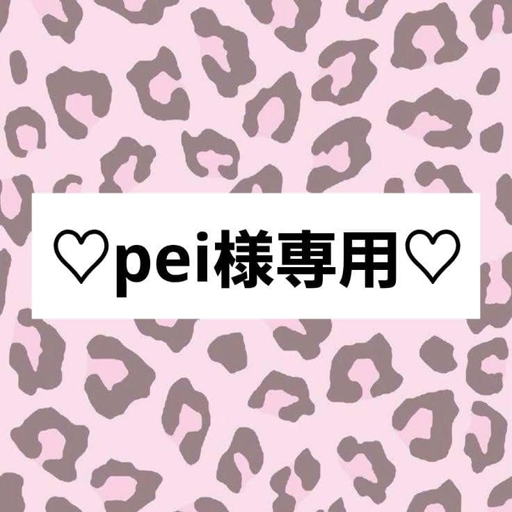 peiページ