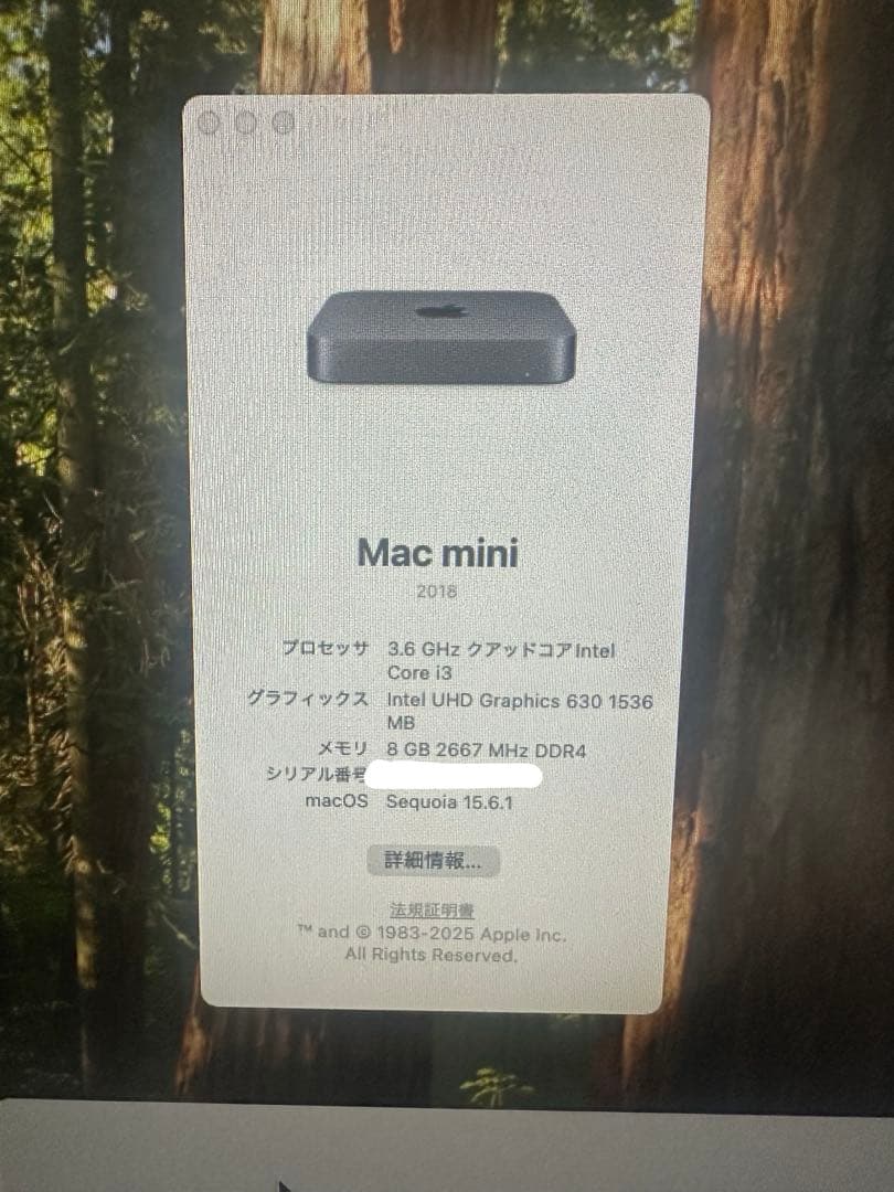 Mac mini 2018 シルバー