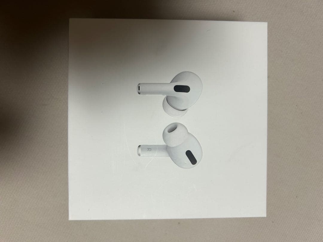 AirPods Pro 本体 + レザーケース