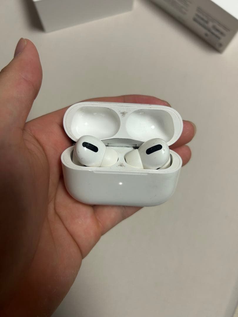 AirPods Pro 本体 + レザーケース