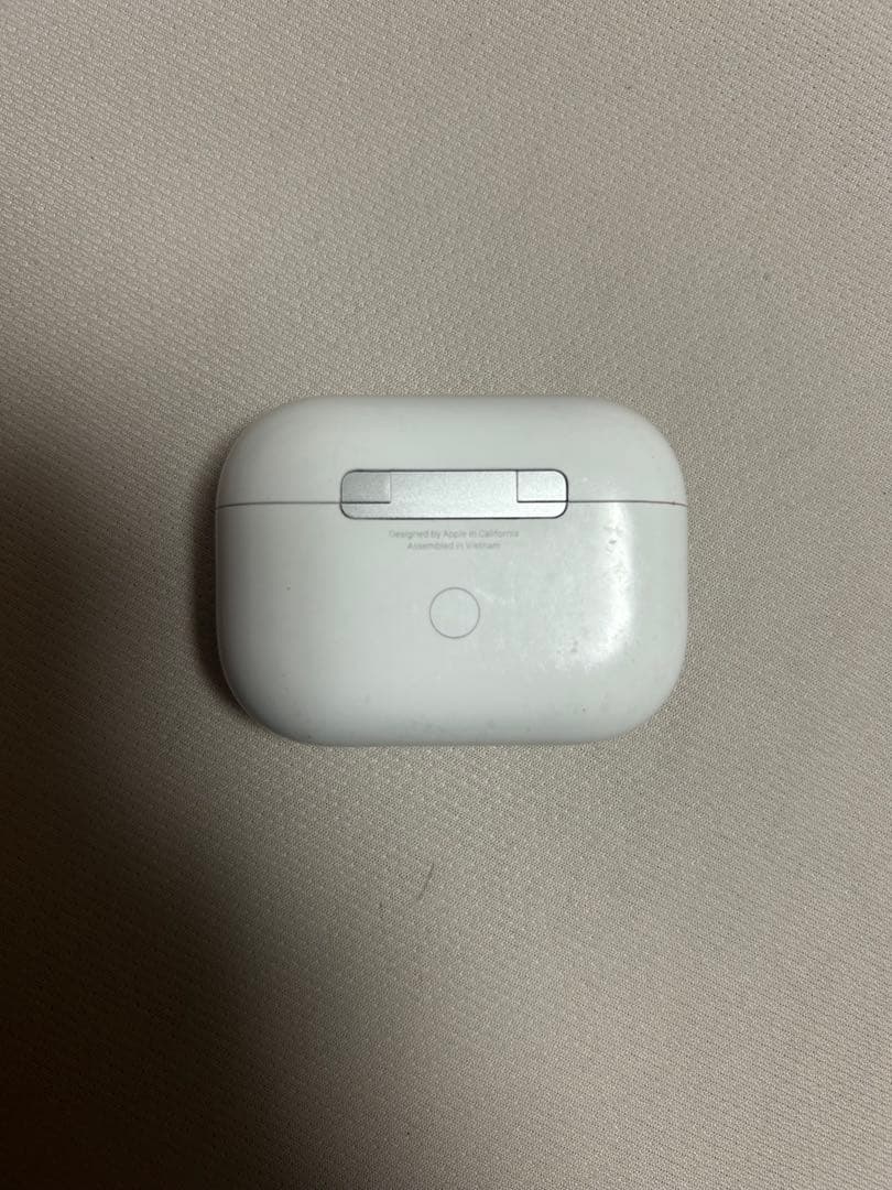 AirPods Pro 本体 + レザーケース