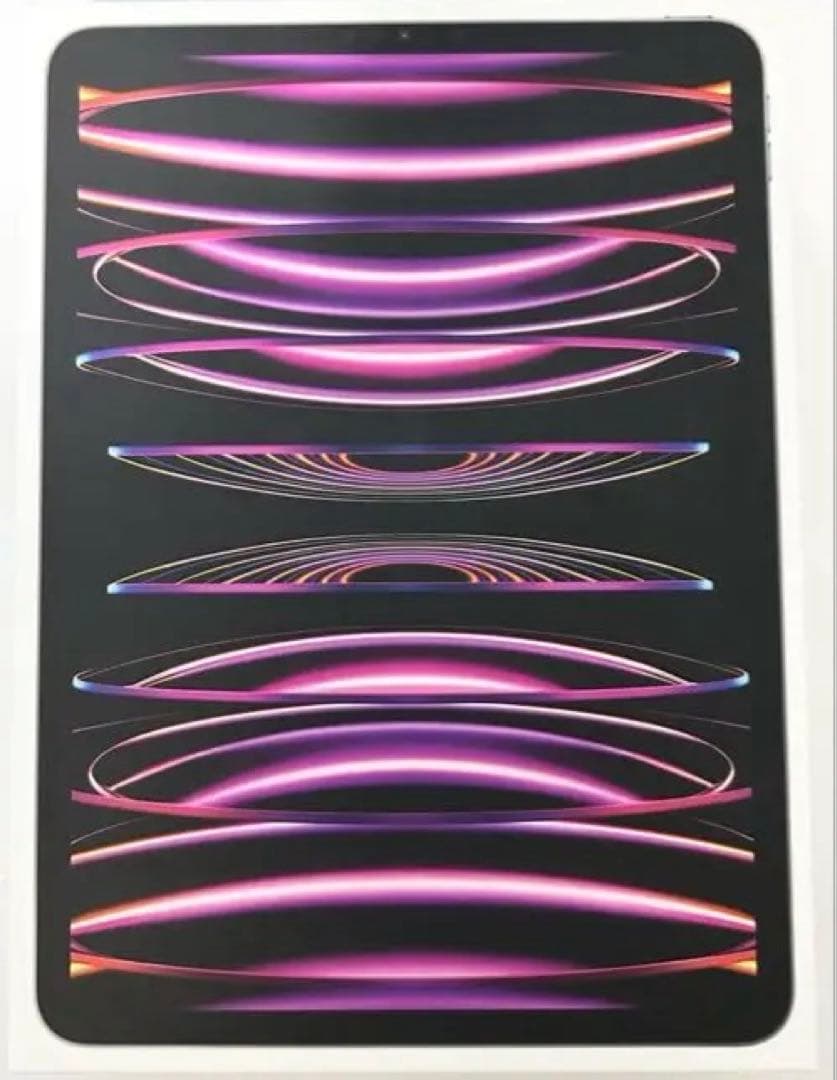 【美品】iPad Pro 11インチ 第4世代 M2 128GB Wi-Fi