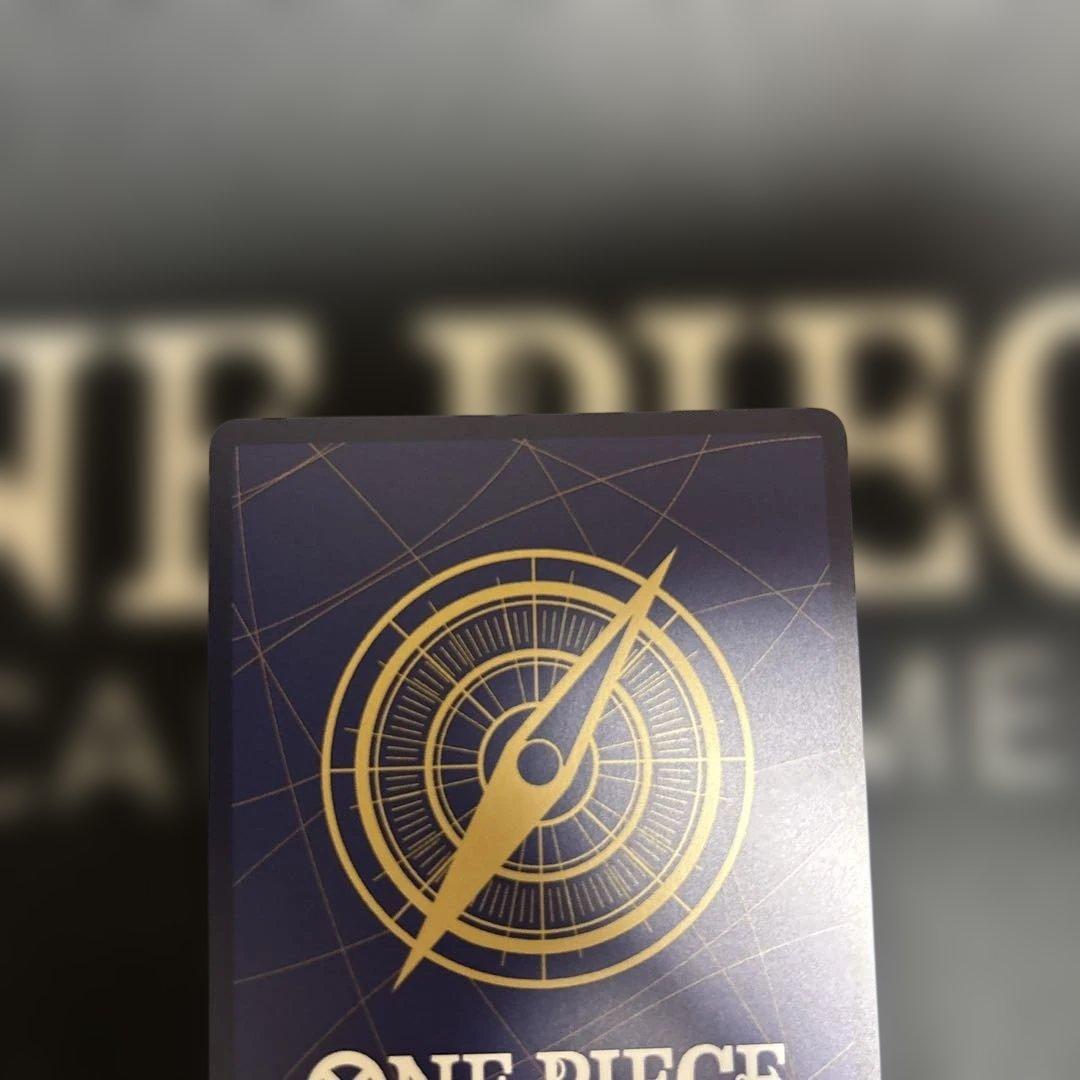 ルフィは海賊王になる男だ！！！　パラレル