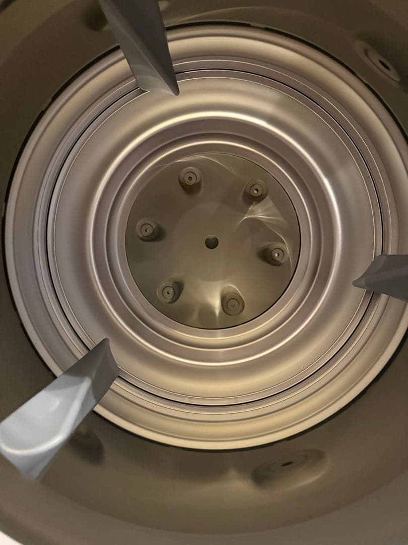 Morus C2 ホワイト