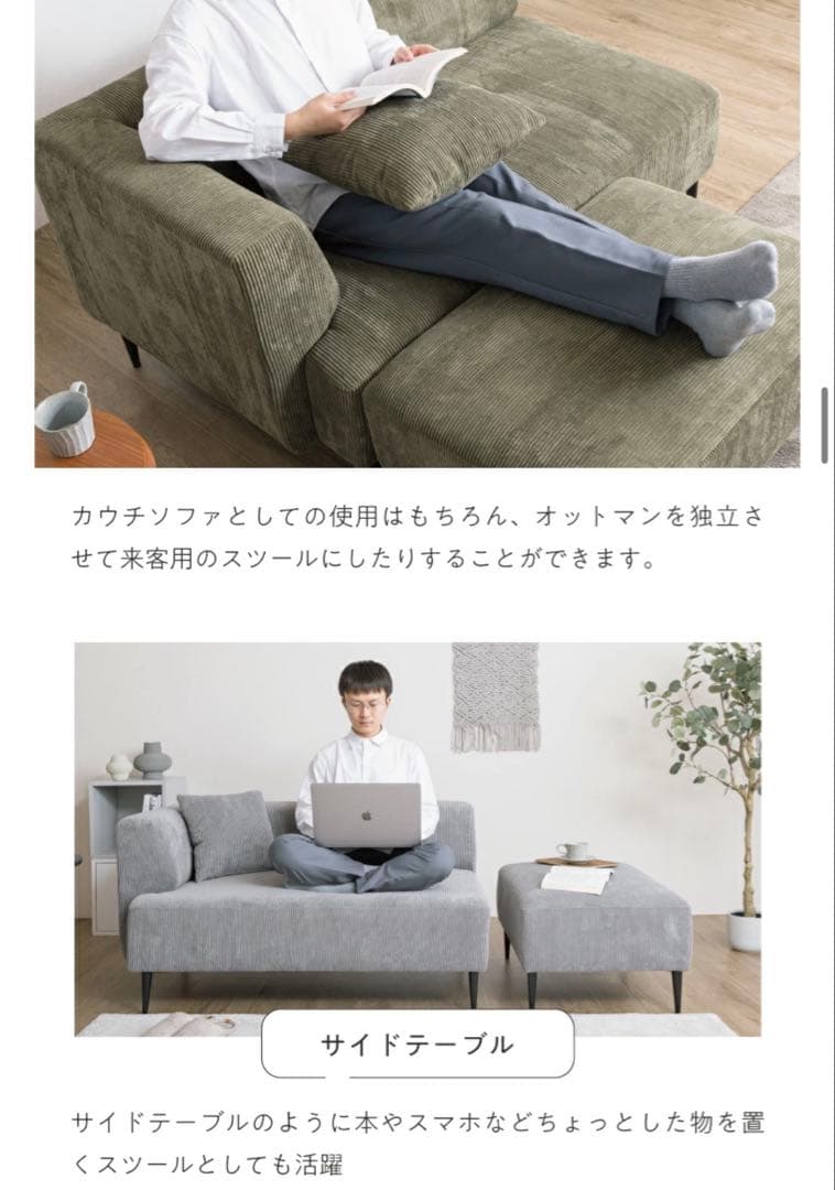 Sofa Sicmo 2人掛け