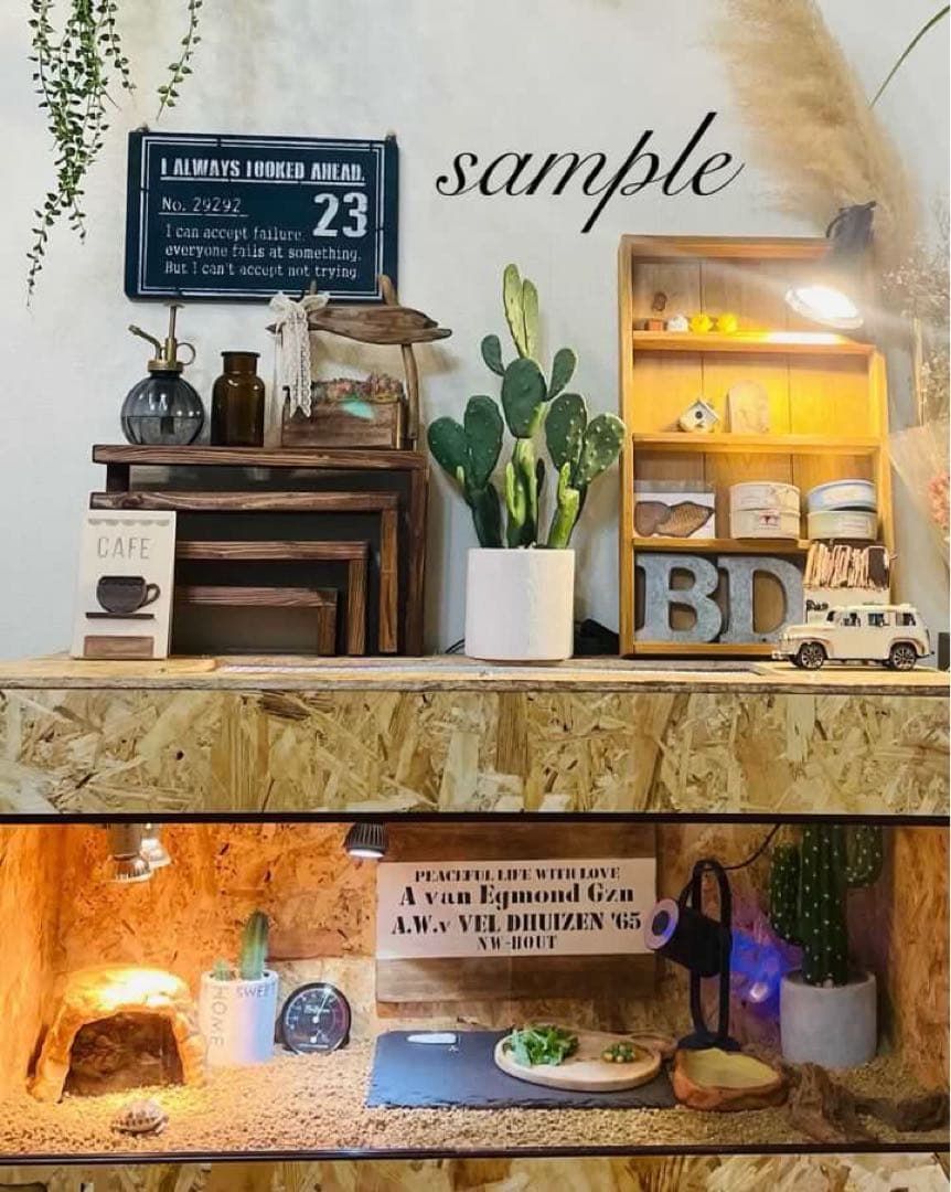 爬虫類ケージ　木製ケージ　フトアゴ　ハリネズミ プロフ必読　フルオプ送料込