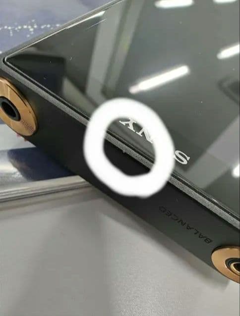 ポータブルプレーヤー WM1AM2