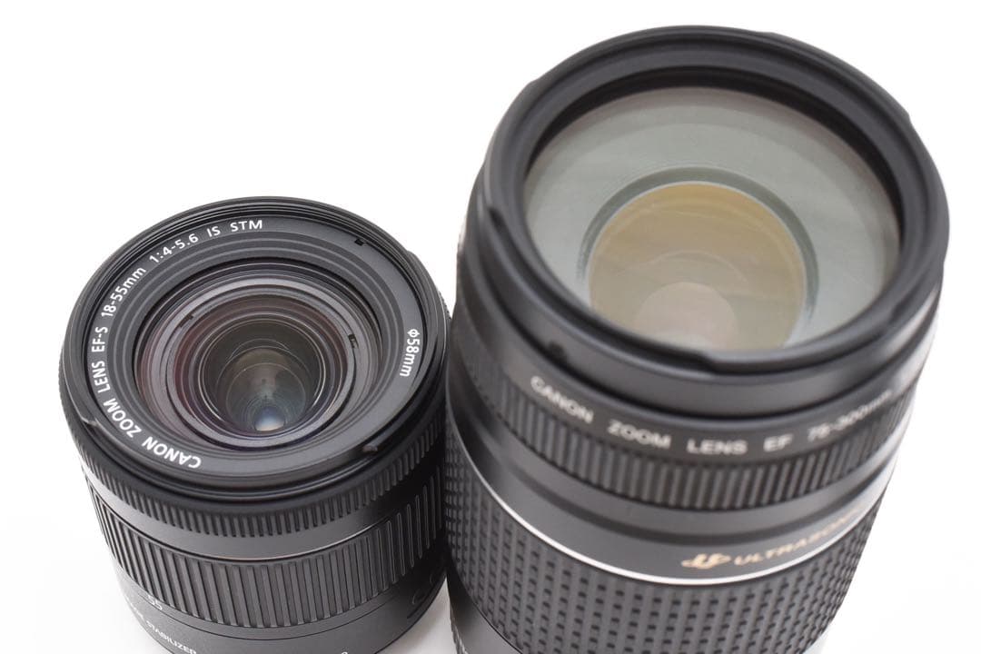 デジタル一眼レフカメラCanon EOS 90D標準&望遠ダブルレンズセット