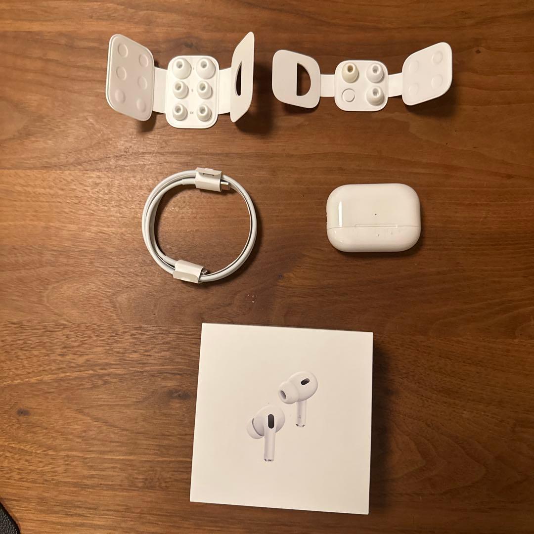 【新品イヤーピース 】Apple AirPods Pro2 Lightning