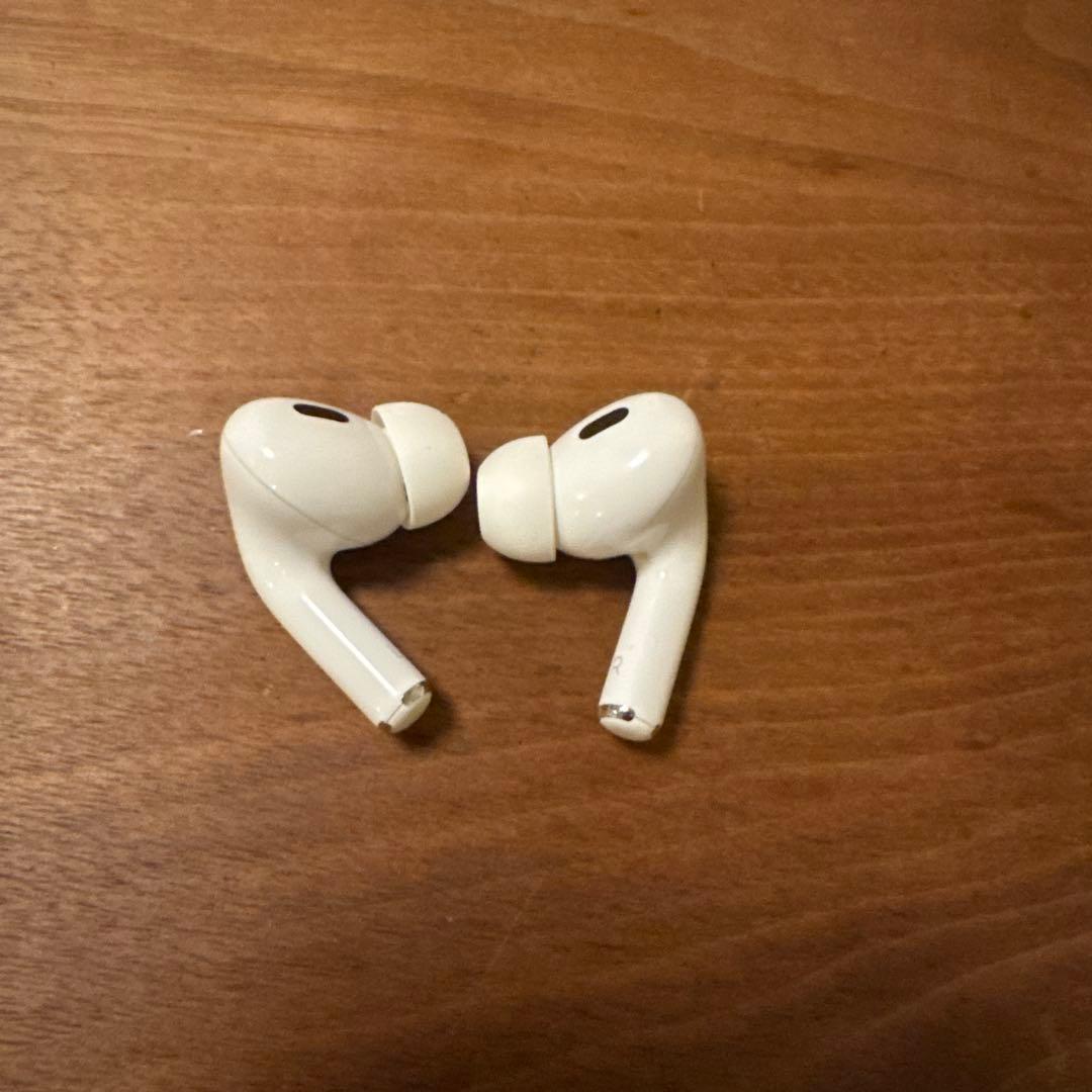 【新品イヤーピース 】Apple AirPods Pro2 Lightning