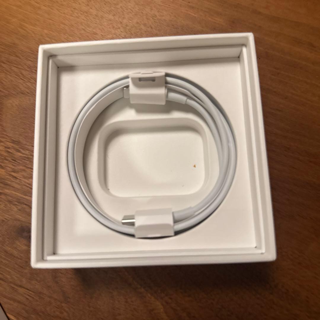 【新品イヤーピース 】Apple AirPods Pro2 Lightning