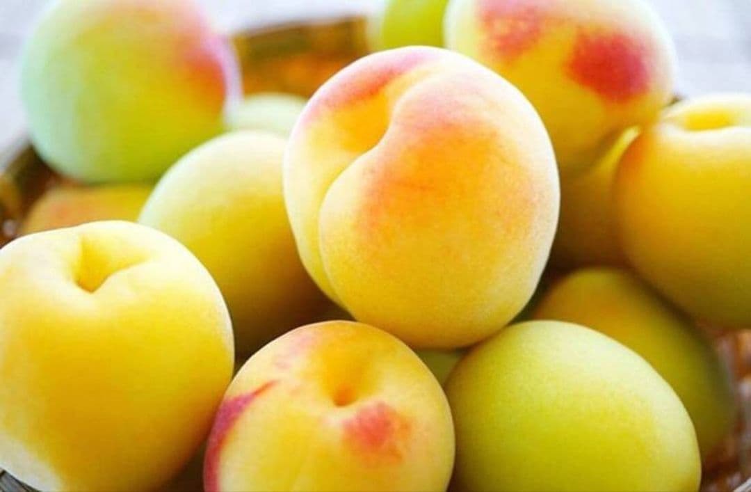 えぐちゃんページ 2kg