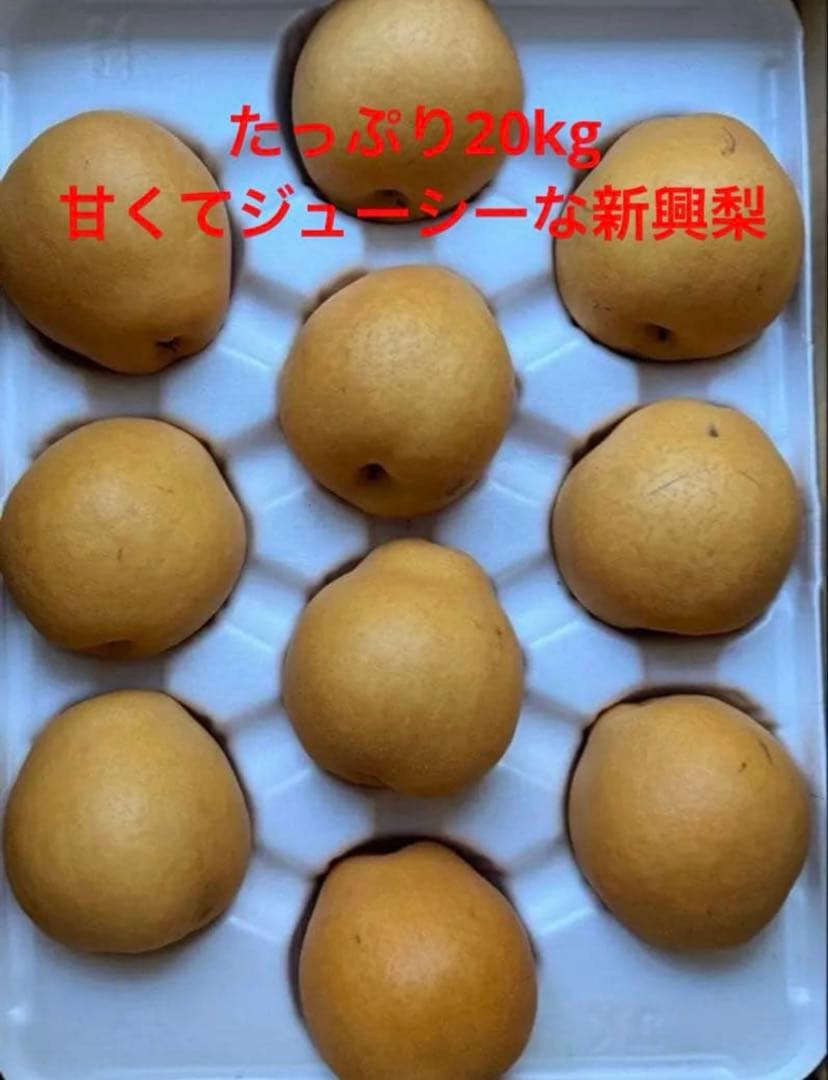 まとめ買いお得‼️たっぷり20kg 甘くてジューシー　新興梨