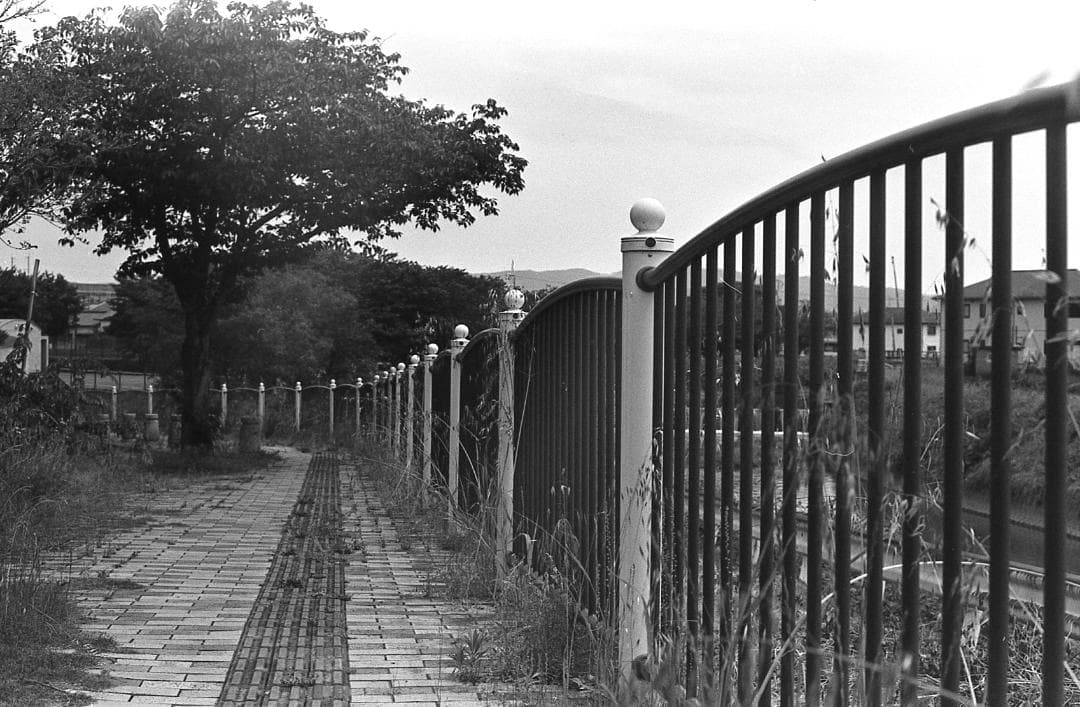 【整備済完動品】PENTAX MX＋SMC PENTAX 55mm F1.8