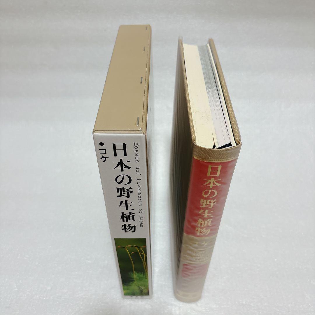日本の野生植物 コケ 岩月善之助