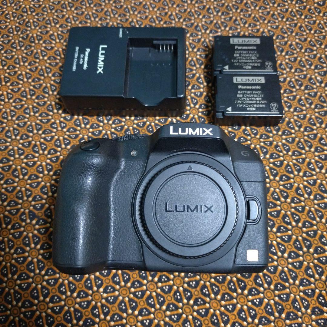 Panasonic DMC-G6 本体 バッテリー2個付き【値下げしました】