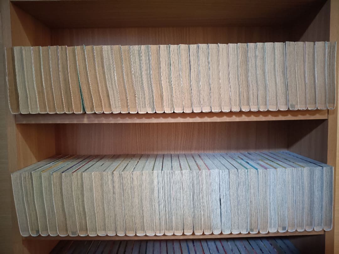 西*亮様 ワンピース ONEPIECE 1〜111巻+αセット 全巻コミックフィ