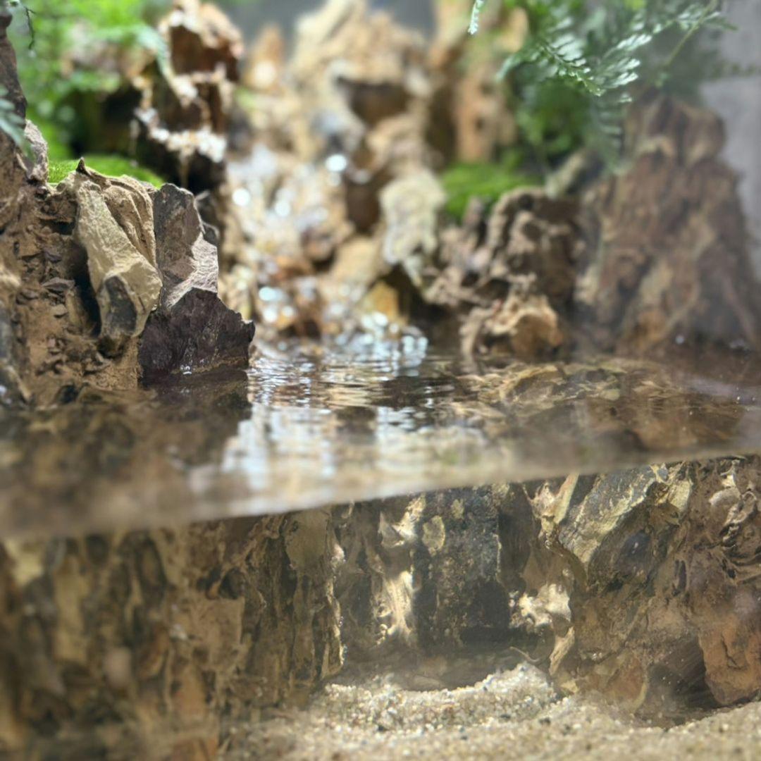 滝の流れるアクアテラリウム　No.1144