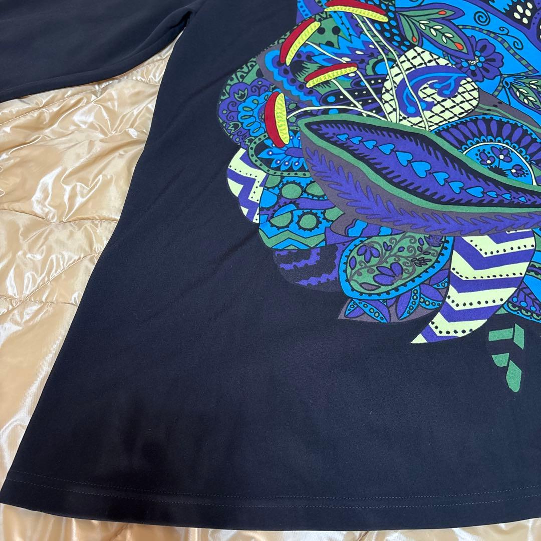 【未使用に近い】✨トクコプルミエヴォル✨黒地にダイナミックな柄の長袖チュニック❣️