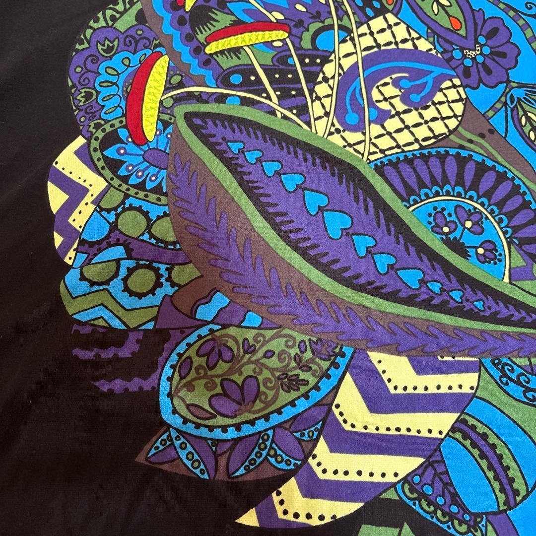 【未使用に近い】✨トクコプルミエヴォル✨黒地にダイナミックな柄の長袖チュニック❣️