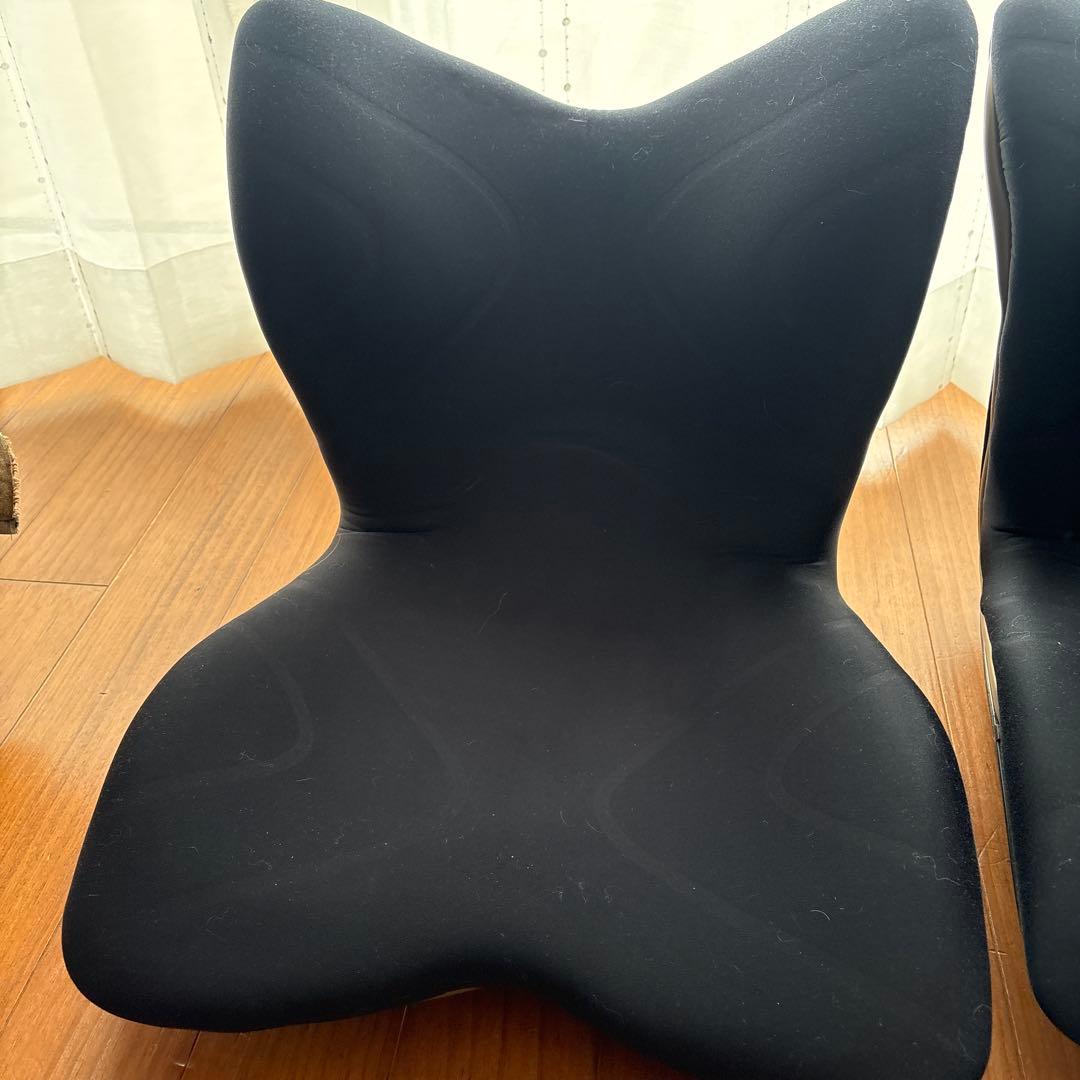 スタイルプレミアム姿勢矯正クッション ブラック 2個セット