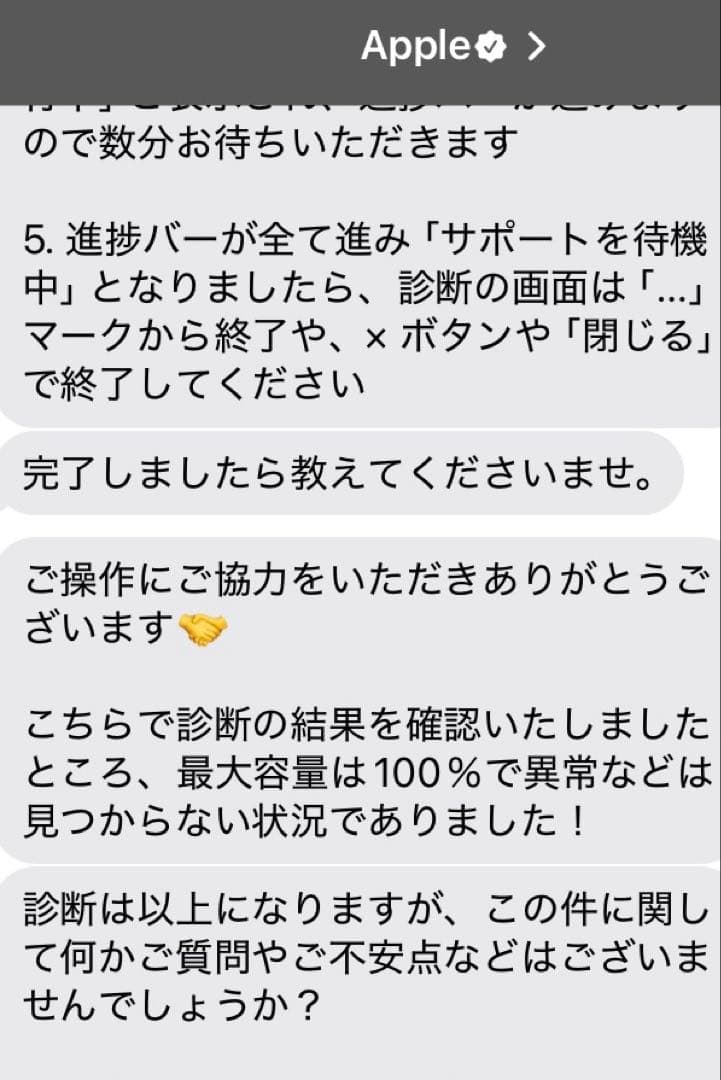 iPad mini6 256GB パープル　電池容量100%