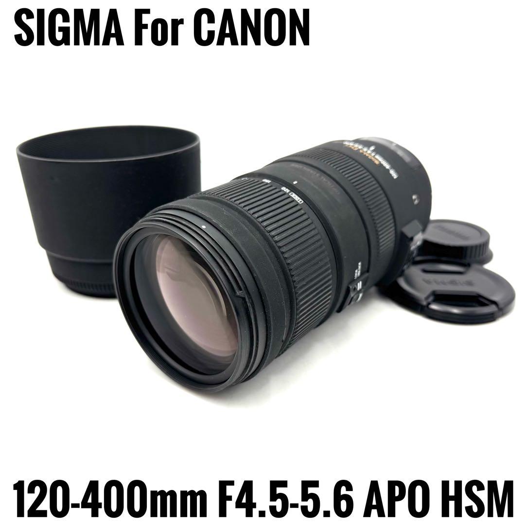 ❁大迫力！超望遠❁SIGMA 120-400mm DG OS HSM キャノン用