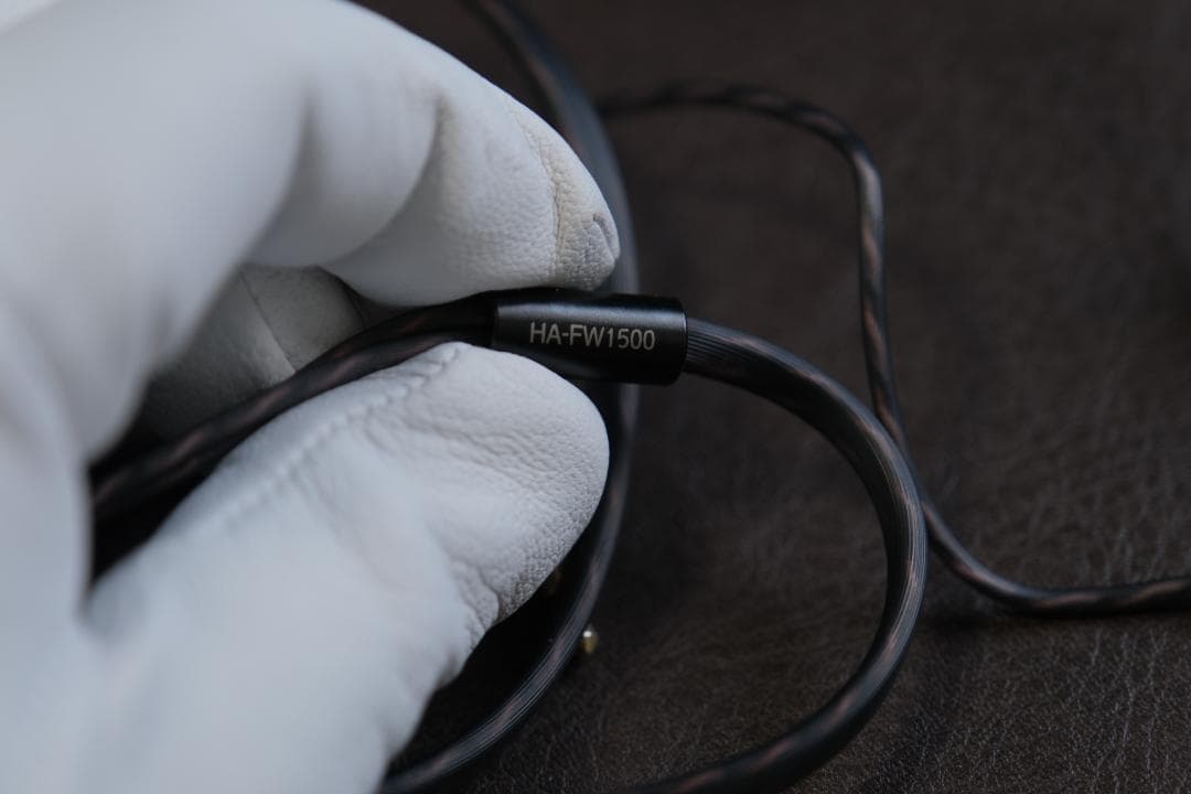 Victor HA-FW1500 WOODシリーズ 密閉型イヤホン ハイレゾ対応