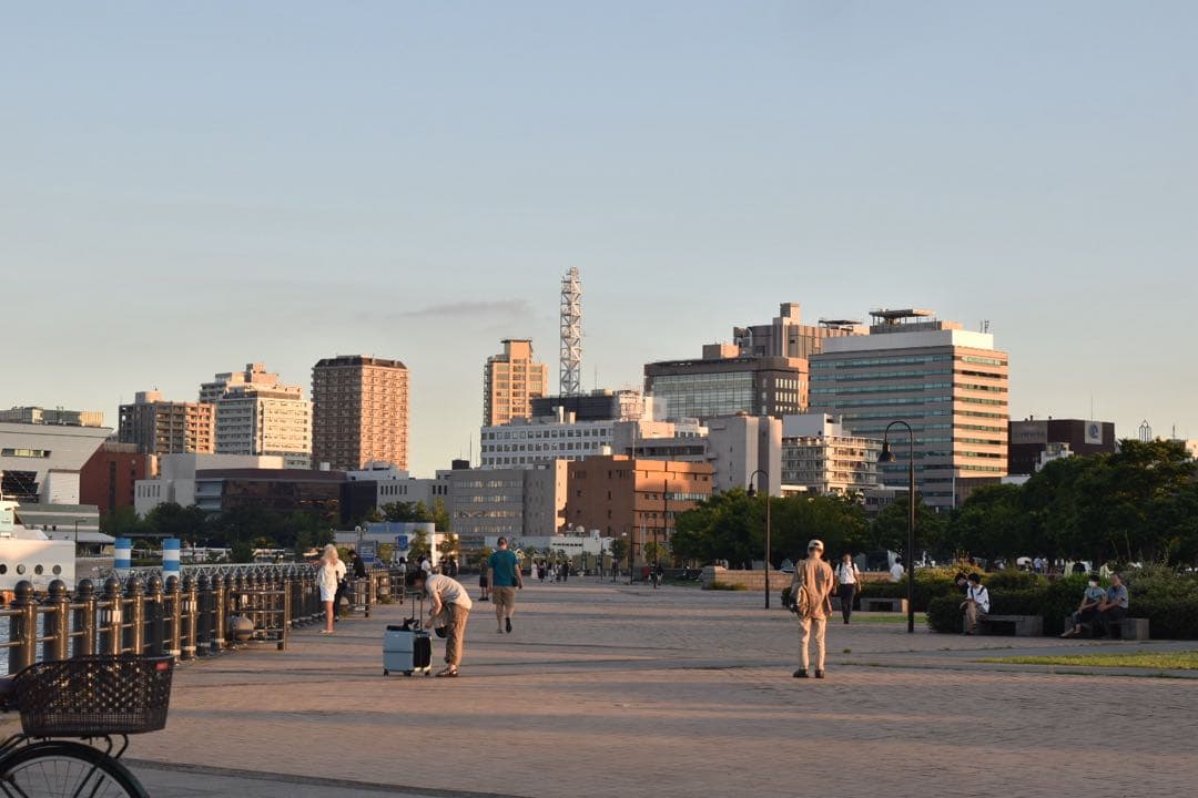 nikon ニコン D5600 一眼レフ カメラ ボディ レンズ3本セット