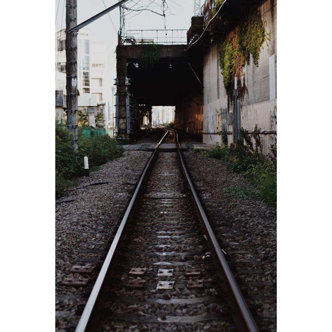 nikon ニコン D5600 一眼レフ カメラ ボディ レンズ3本セット