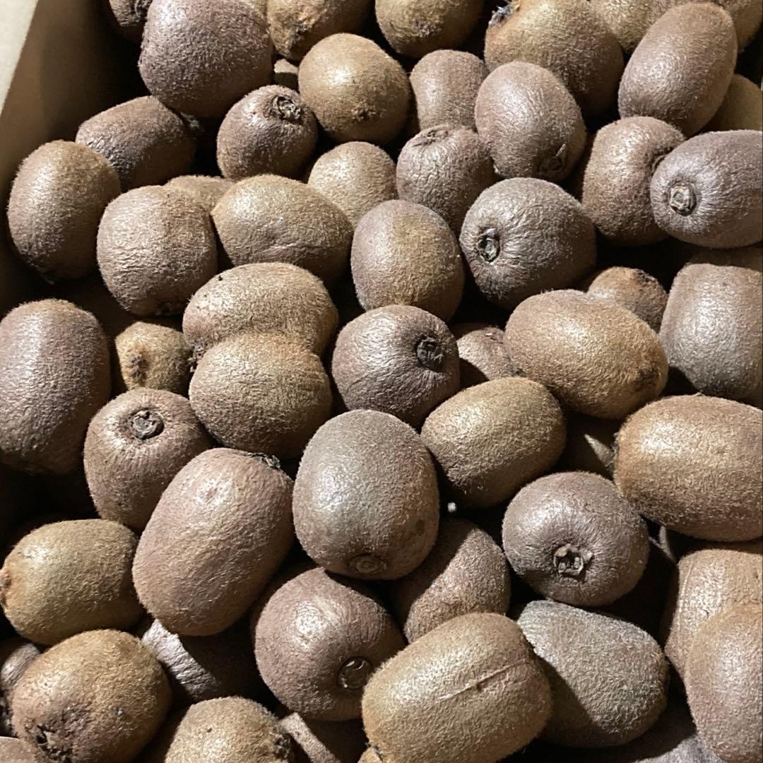 オーダー専用‼️ 14kg入り!! ５千円‼️ キウイフルーツお得箱‼️