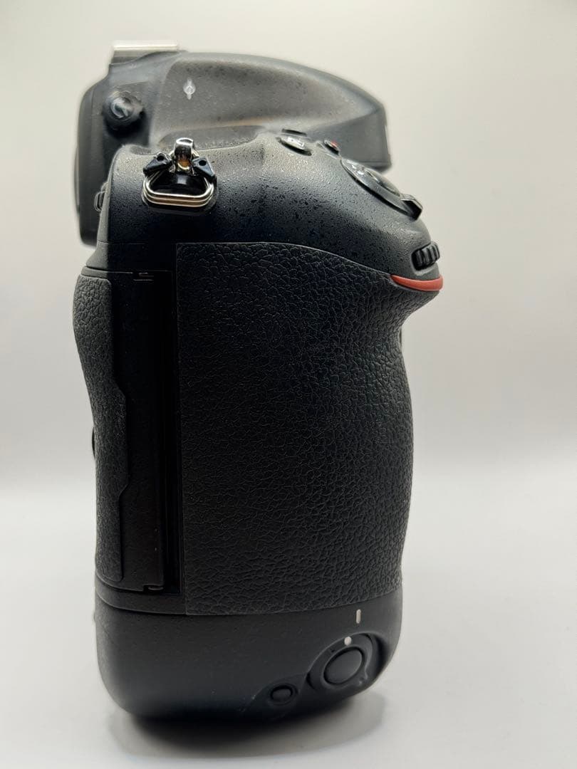 d*g様 Nikon D4s – 全体的に良好（シャッター回数 99,454回）