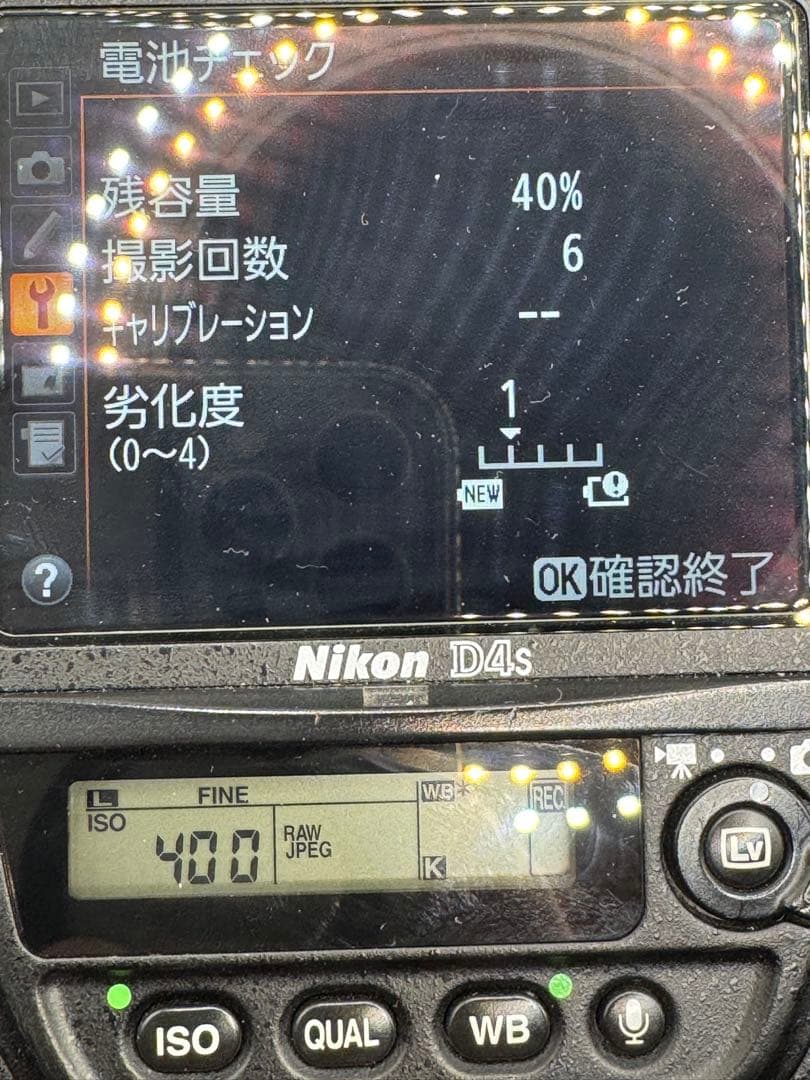 d*g様 Nikon D4s – 全体的に良好（シャッター回数 99,454回）