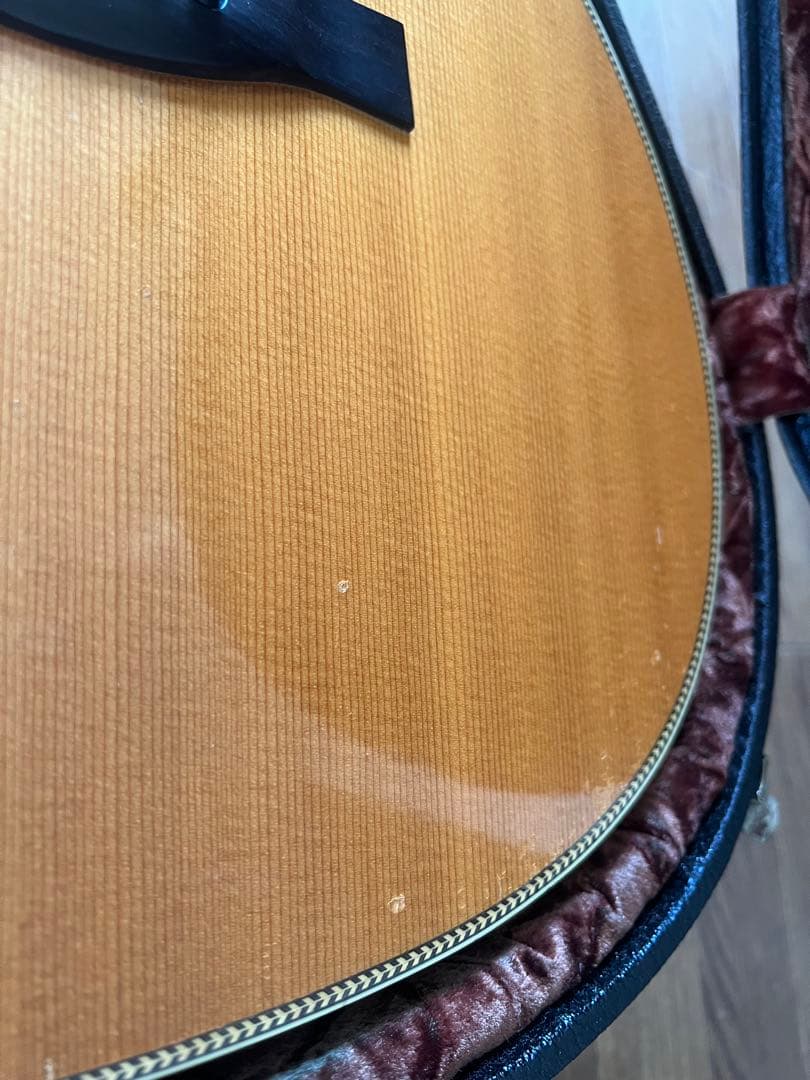 Santa Cruz OMサイズギター(Collings社製ハードケース付き)